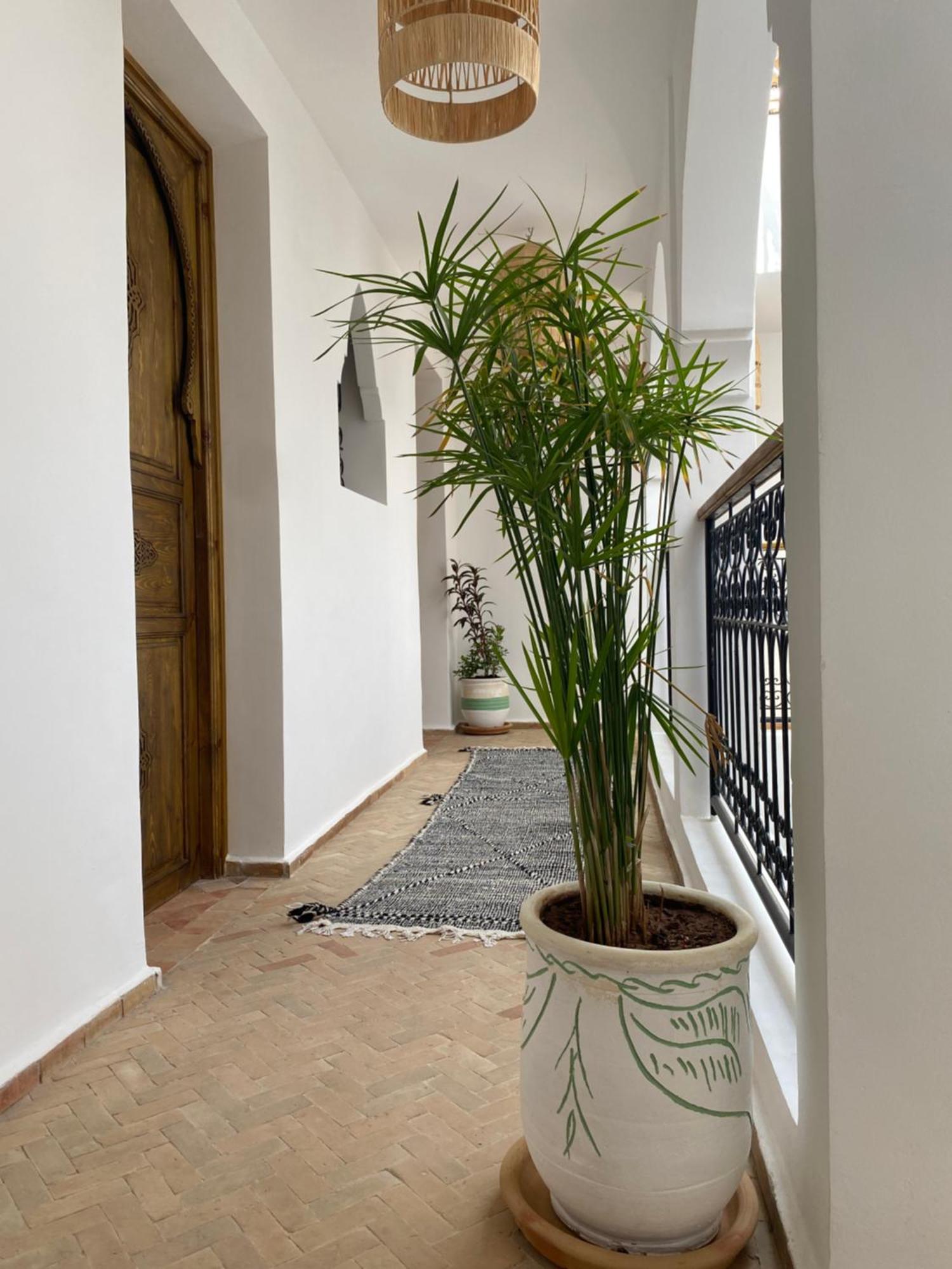 Riad & Spa Sous Le Soleil Chez Jerome Et Pamela Ch Zen Марракеш Экстерьер фото